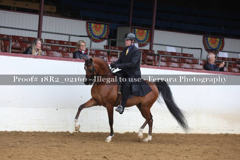 Proof 18R2_02160