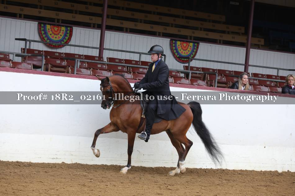Proof 18R2_02161