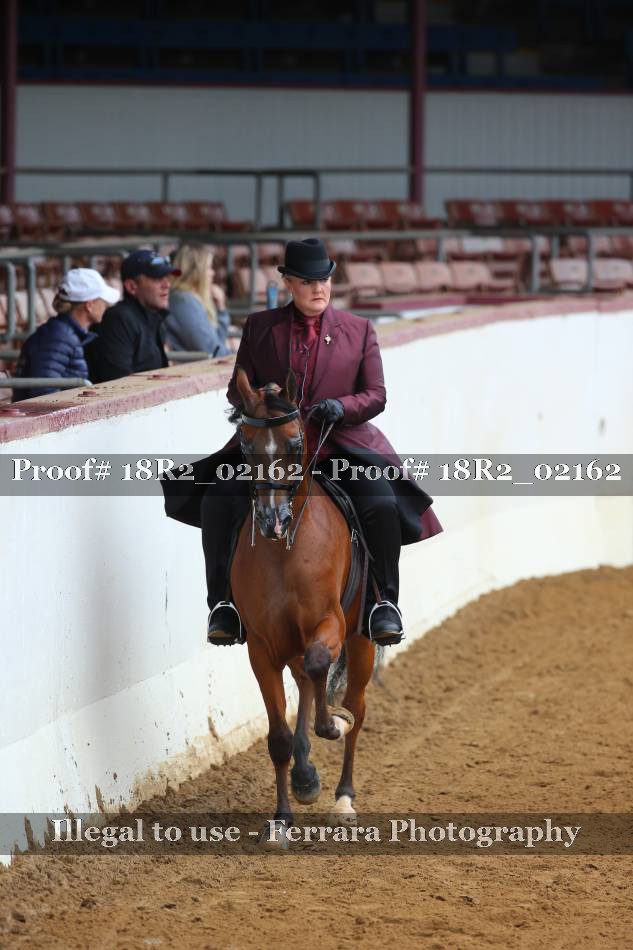 Proof 18R2_02162
