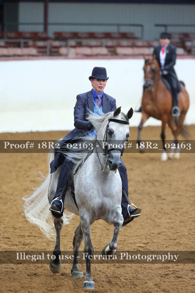 Proof 18R2_02163