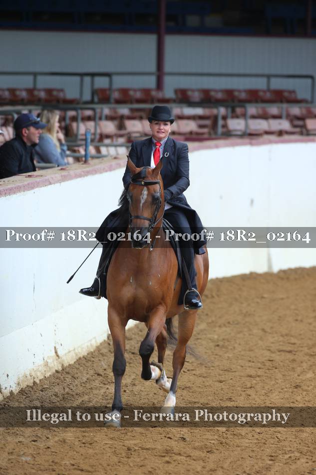 Proof 18R2_02164