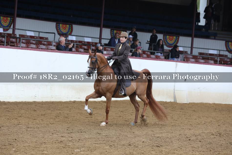 Proof 18R2_02165