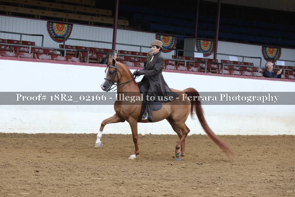Proof 18R2_02166