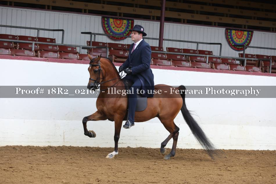Proof 18R2_02167