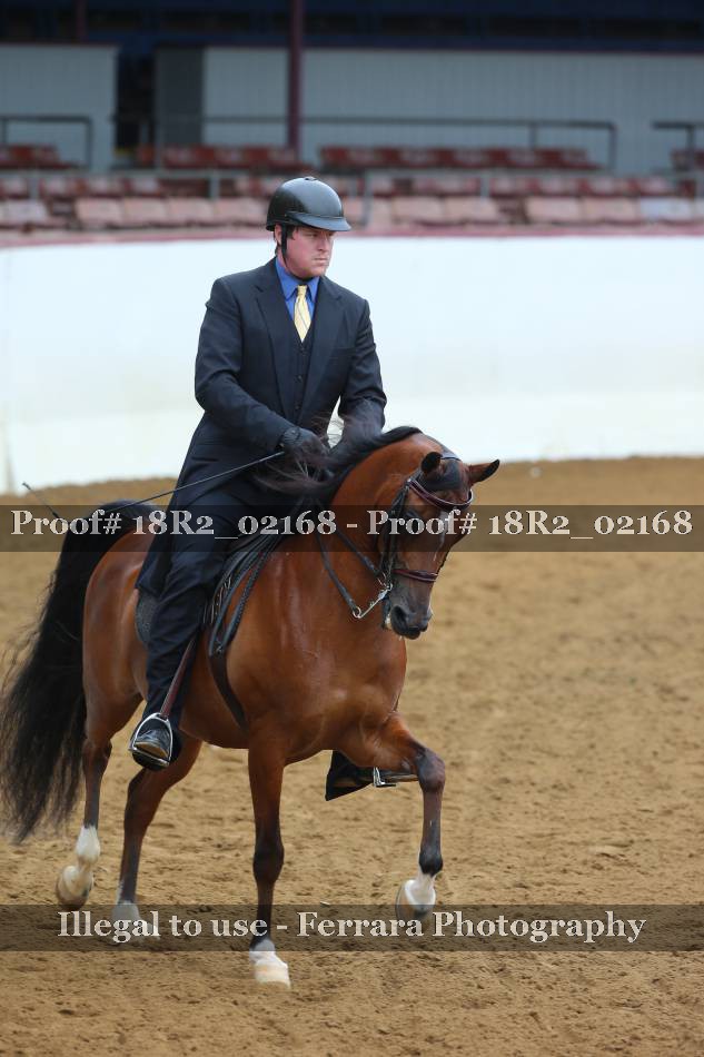 Proof 18R2_02168