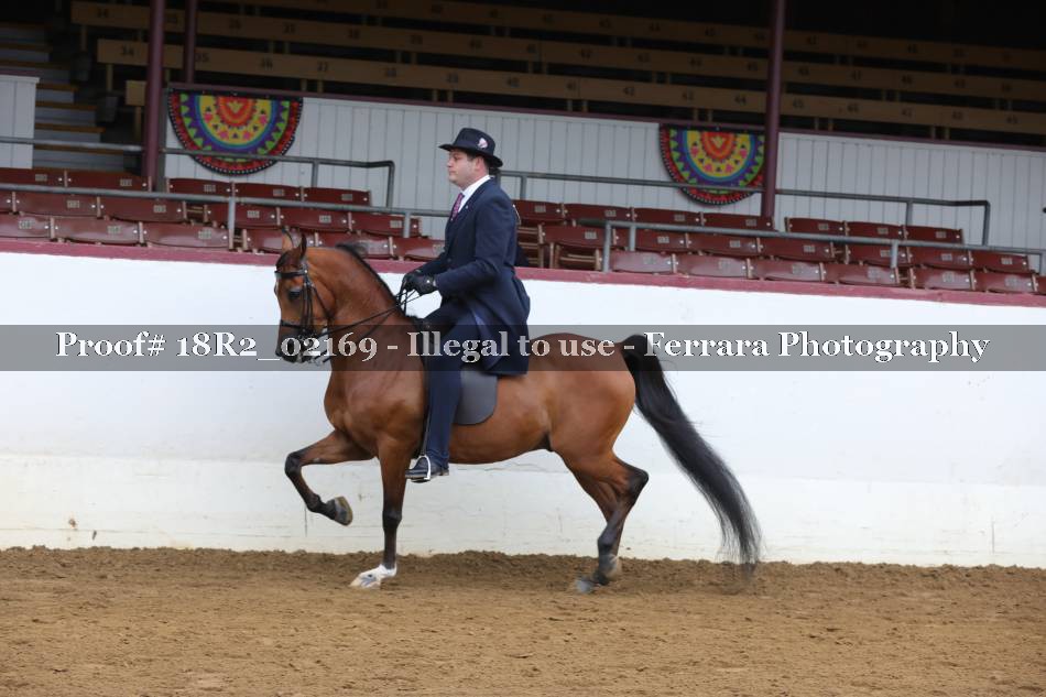 Proof 18R2_02169