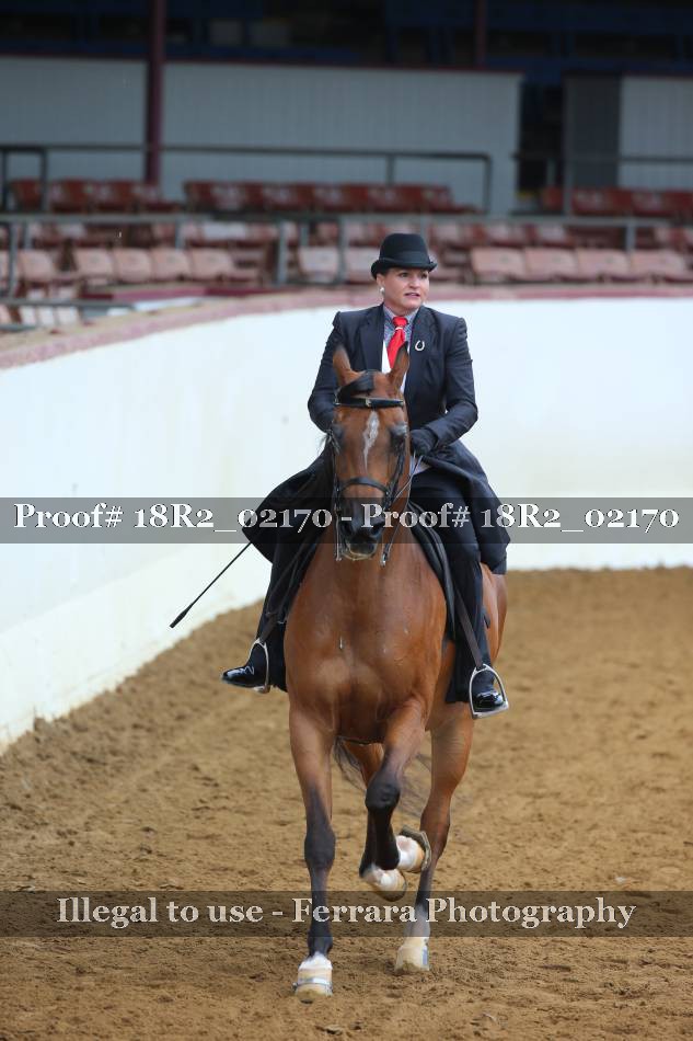 Proof 18R2_02170