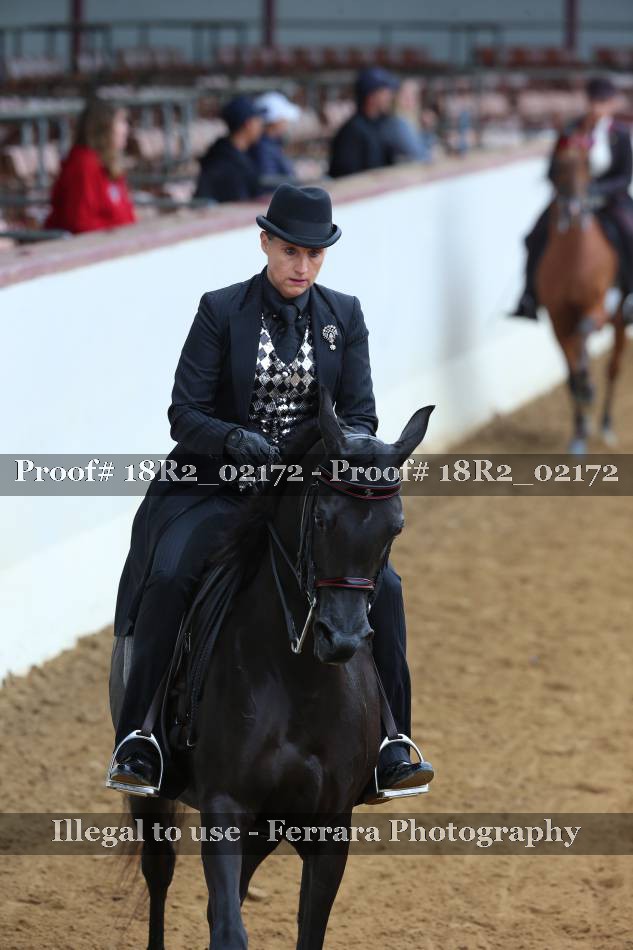 Proof 18R2_02172