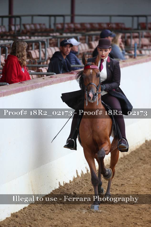 Proof 18R2_02173