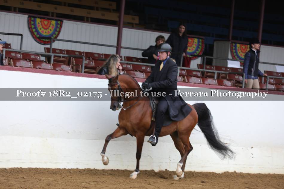 Proof 18R2_02175