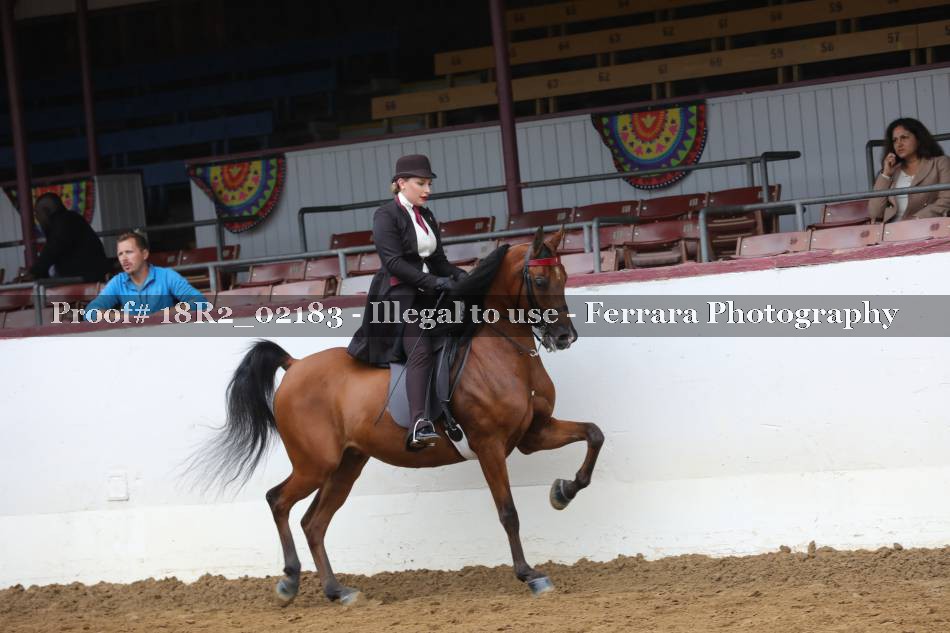 Proof 18R2_02183
