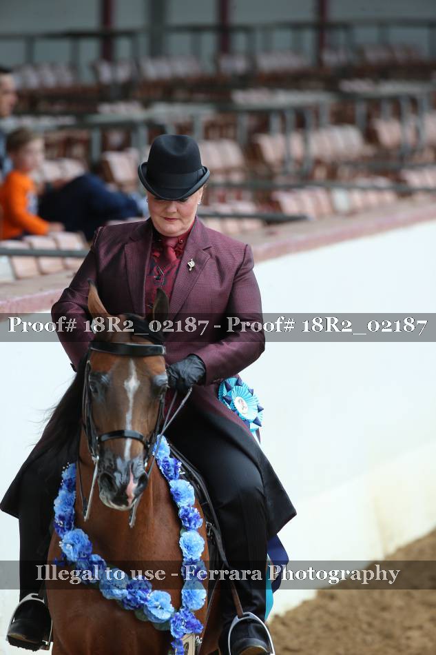 Proof 18R2_02187