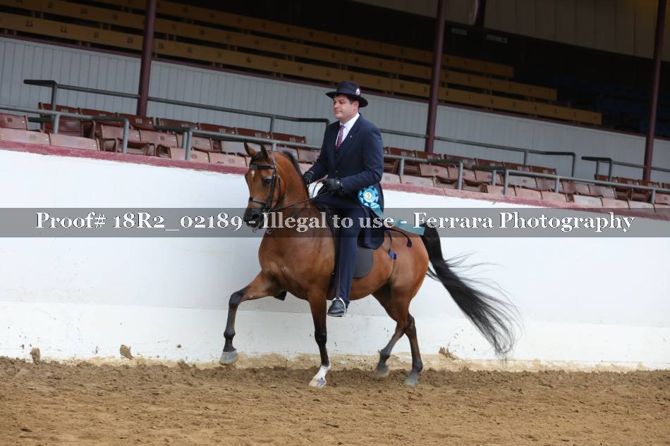 Proof 18R2_02189