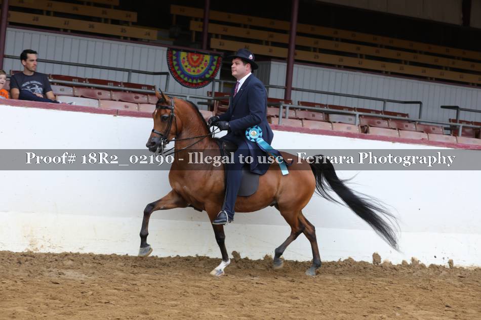 Proof 18R2_02190