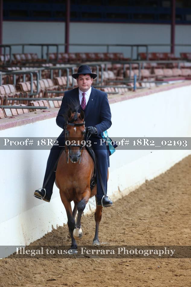 Proof 18R2_02193