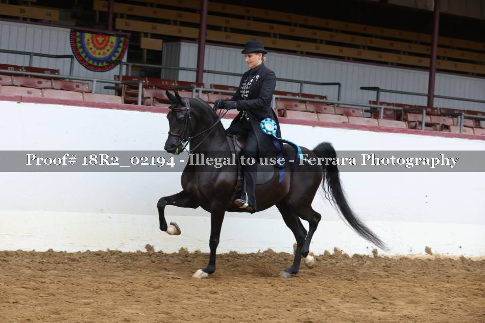 Proof 18R2_02194