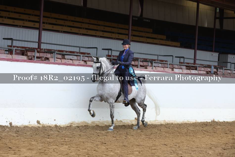 Proof 18R2_02195