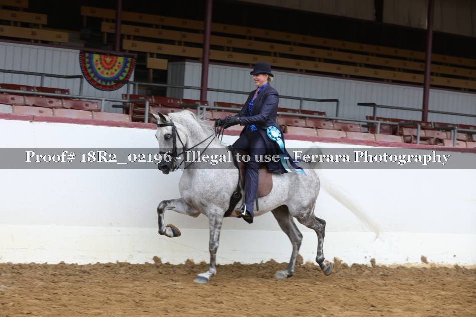 Proof 18R2_02196