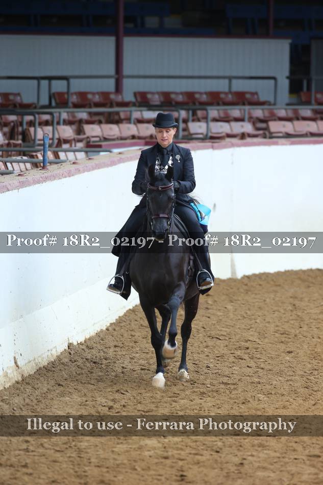 Proof 18R2_02197