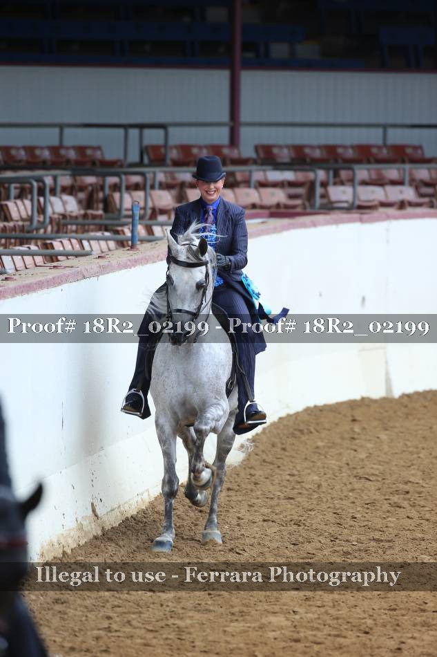 Proof 18R2_02199