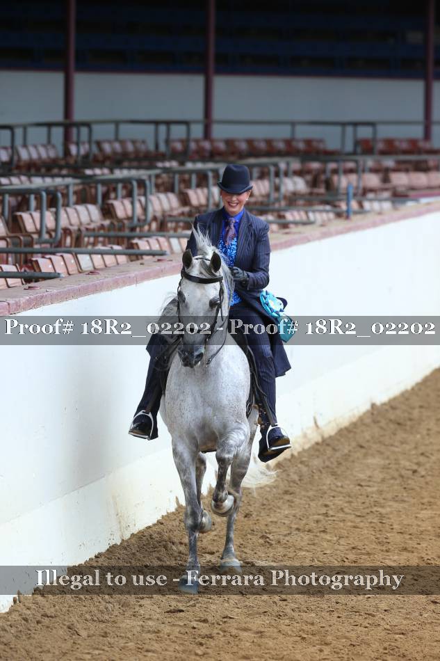 Proof 18R2_02202
