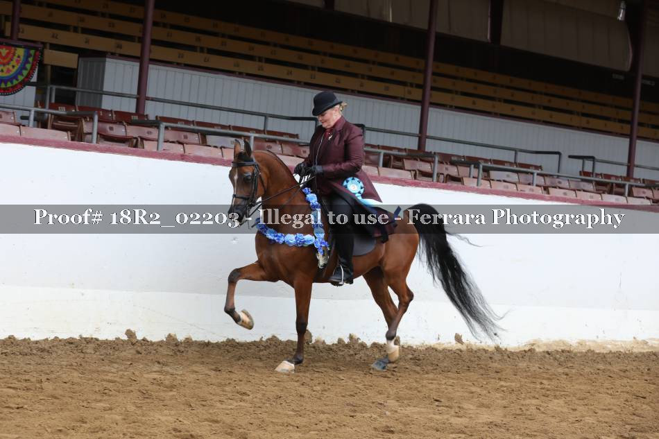 Proof 18R2_02203