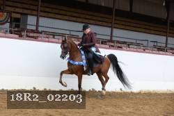 18R2_02203 proof
