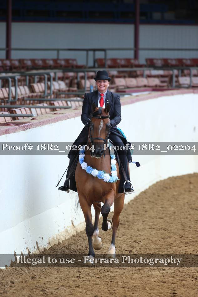 Proof 18R2_02204