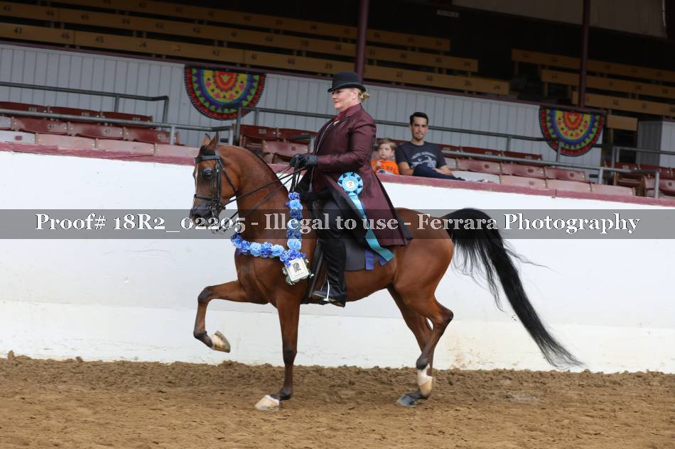 Proof 18R2_02205