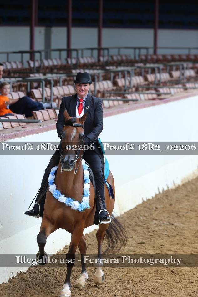 Proof 18R2_02206