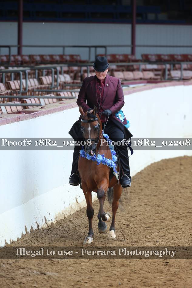 Proof 18R2_02208