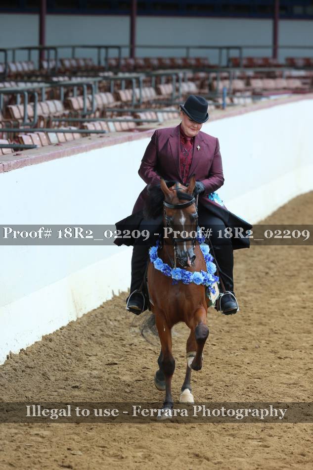 Proof 18R2_02209