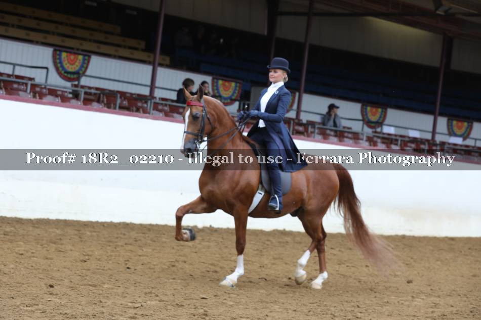 Proof 18R2_02210