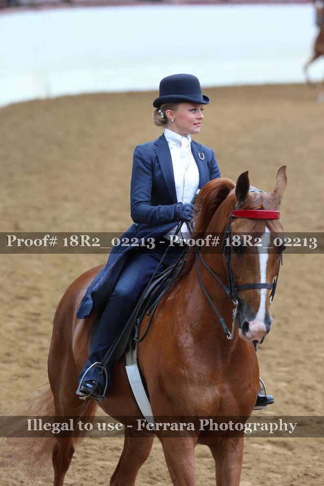 Proof 18R2_02213