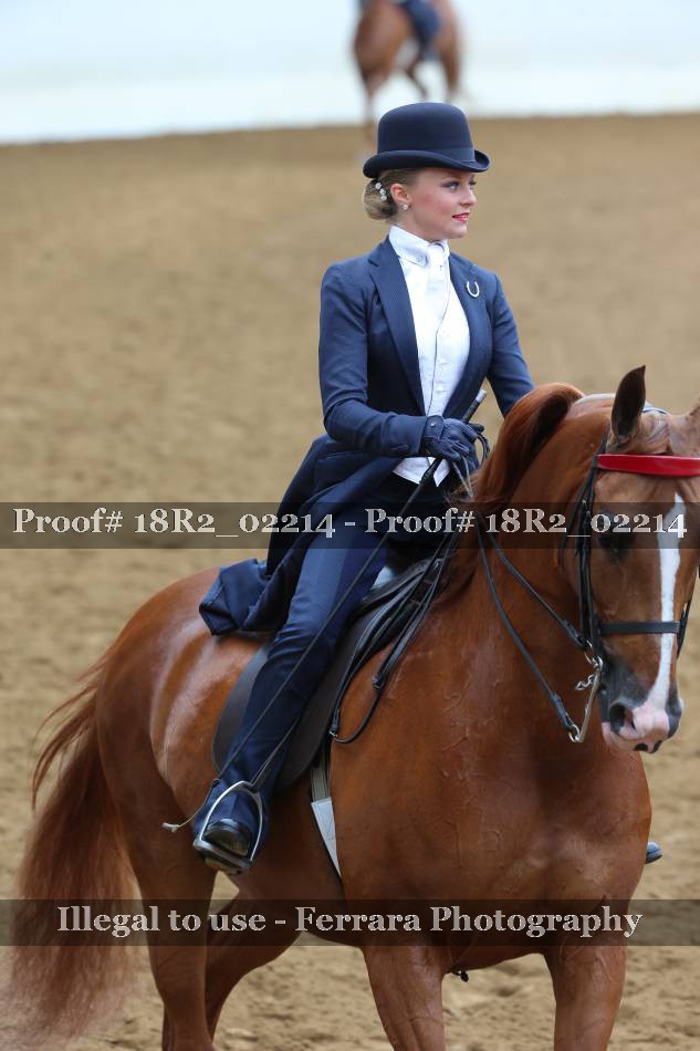 Proof 18R2_02214