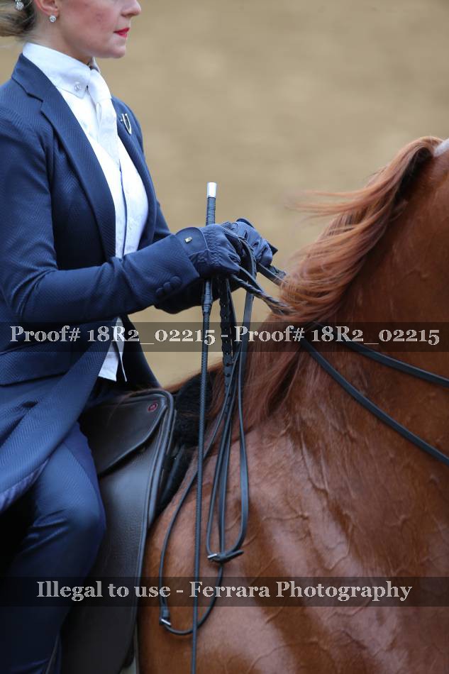 Proof 18R2_02215