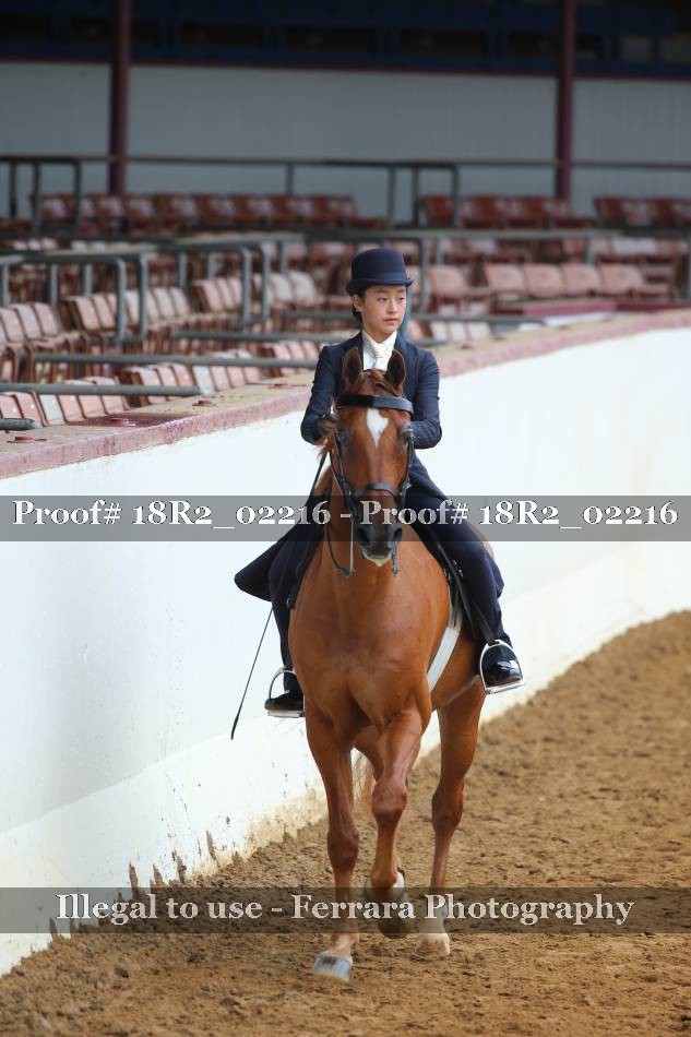 Proof 18R2_02216