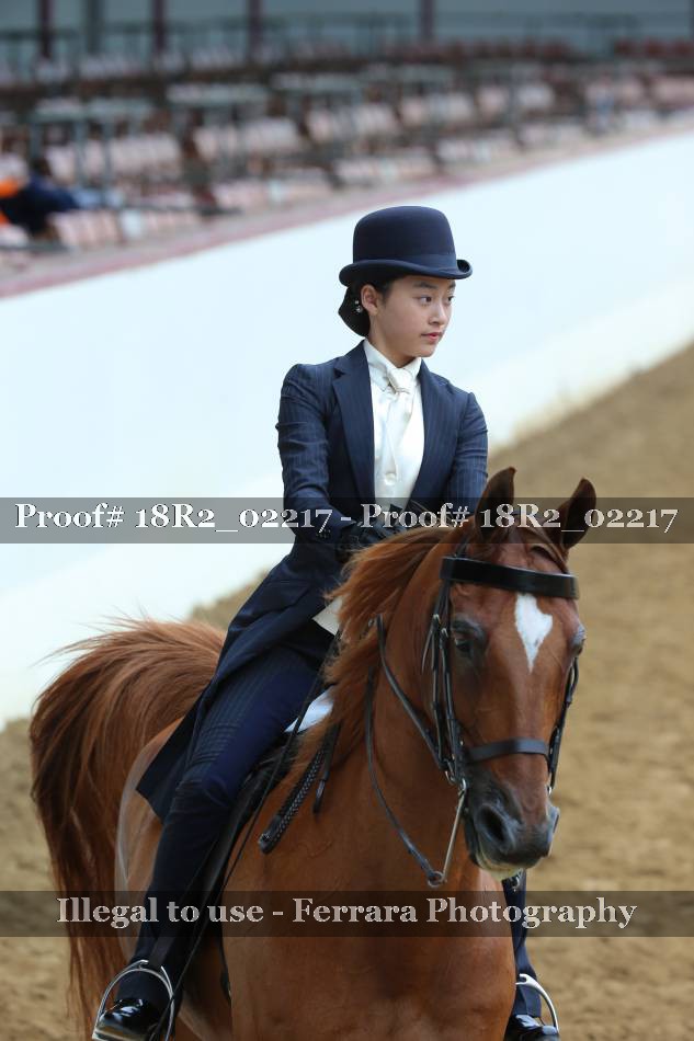 Proof 18R2_02217