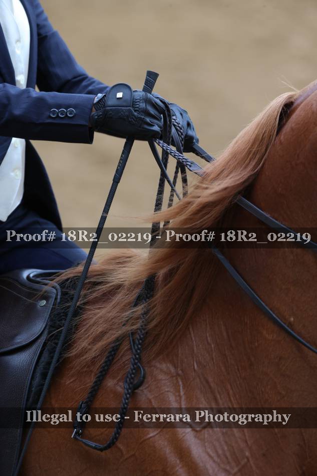Proof 18R2_02219