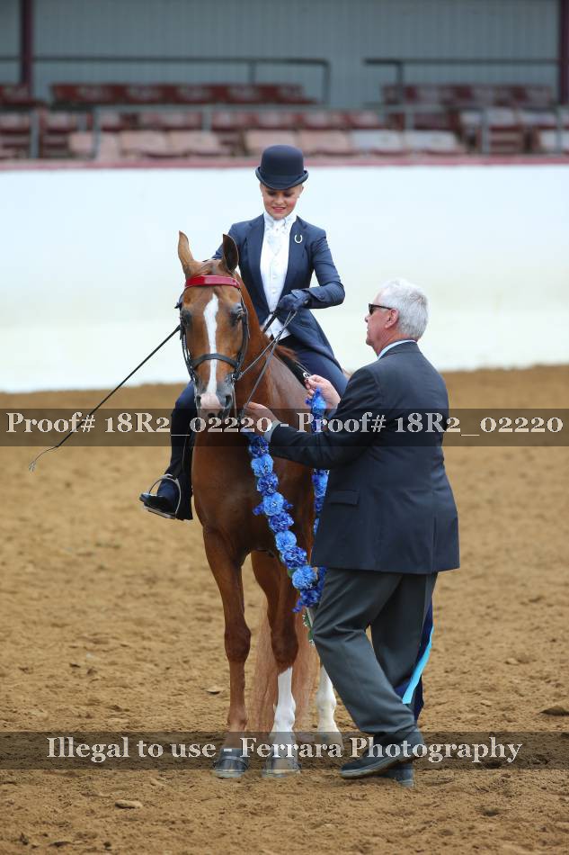 Proof 18R2_02220