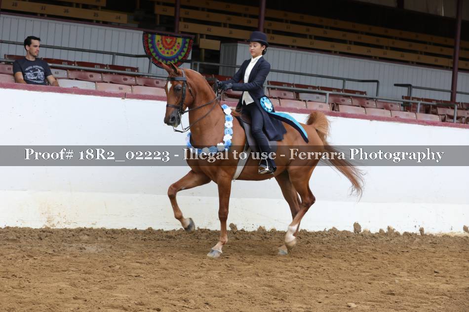 Proof 18R2_02223
