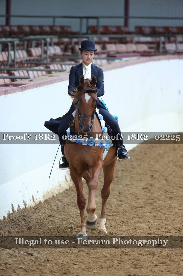 Proof 18R2_02225