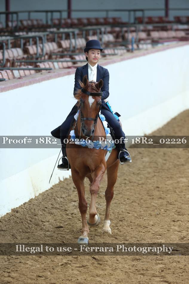 Proof 18R2_02226