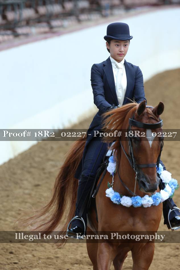 Proof 18R2_02227