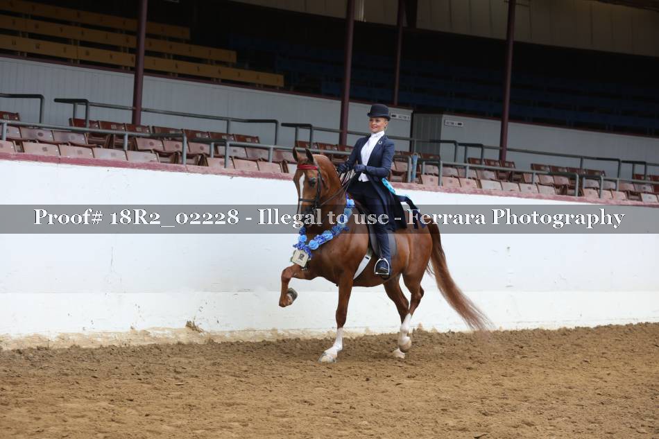 Proof 18R2_02228