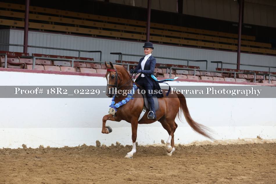 Proof 18R2_02229