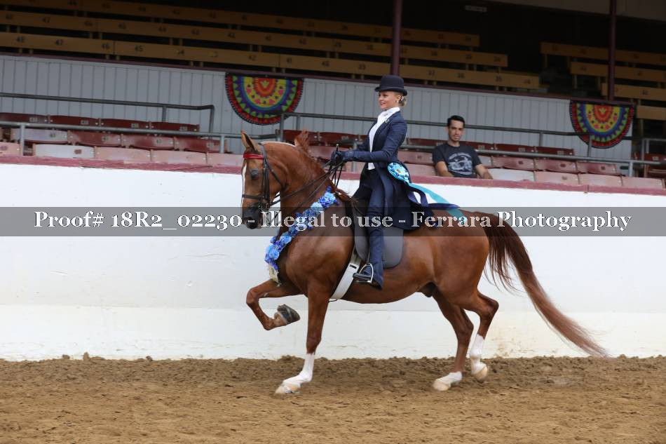 Proof 18R2_02230