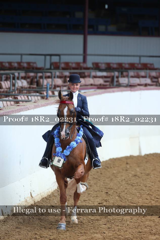 Proof 18R2_02231