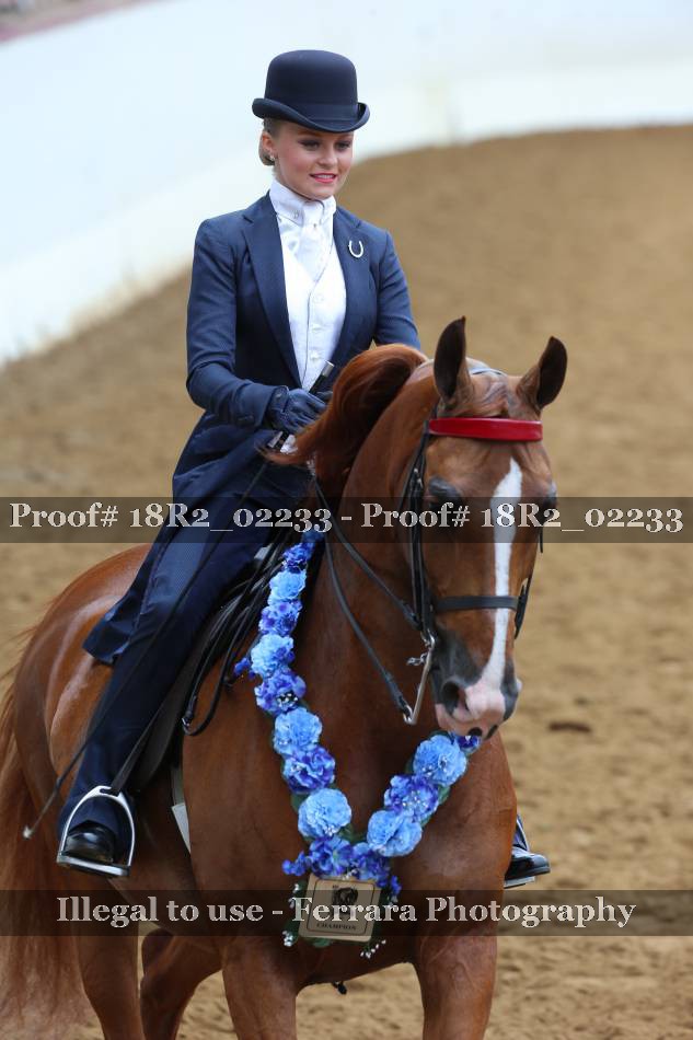 Proof 18R2_02233
