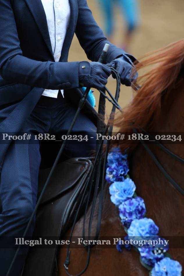 Proof 18R2_02234